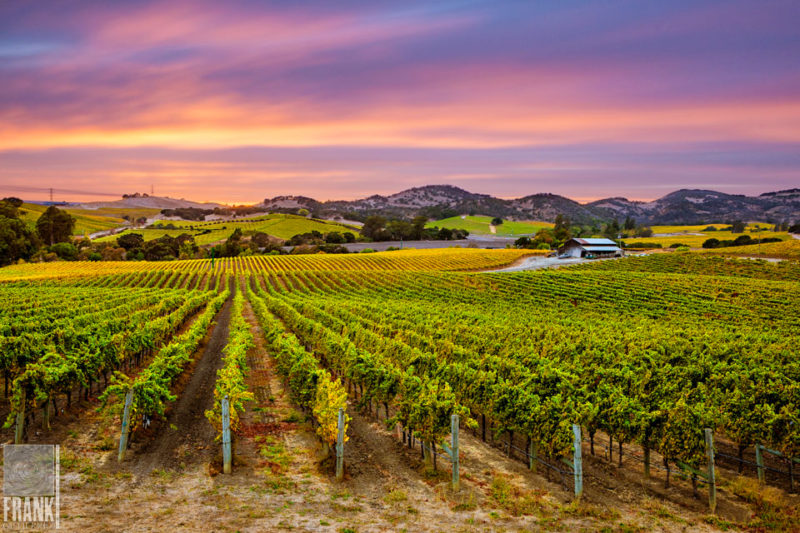 Header-by-Frank-Gutierrez Photography by Frank Gutierrez